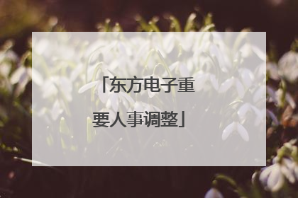 东方电子重要人事调整
